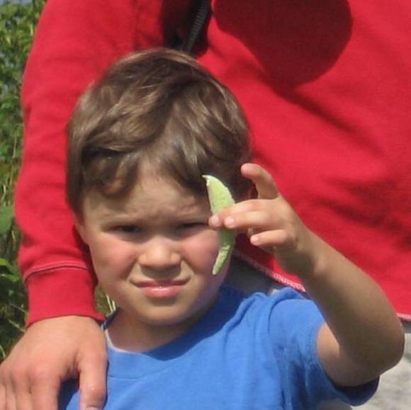 sebastiandamico